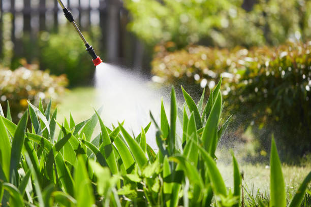 24/7 Emergency Termite Control experts in Bellmawr, NJ