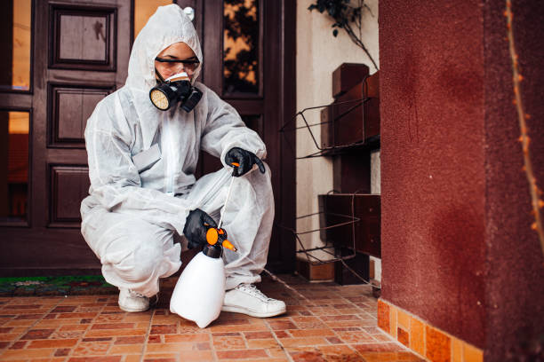 Reliable Termite Control contractor in Bellmawr, NJ by Nex Pest Control
