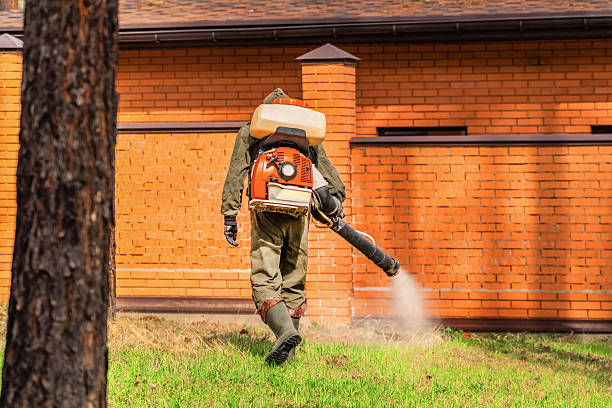 Trusted Termite Control service in Bellmawr, NJ - Nex Pest Control